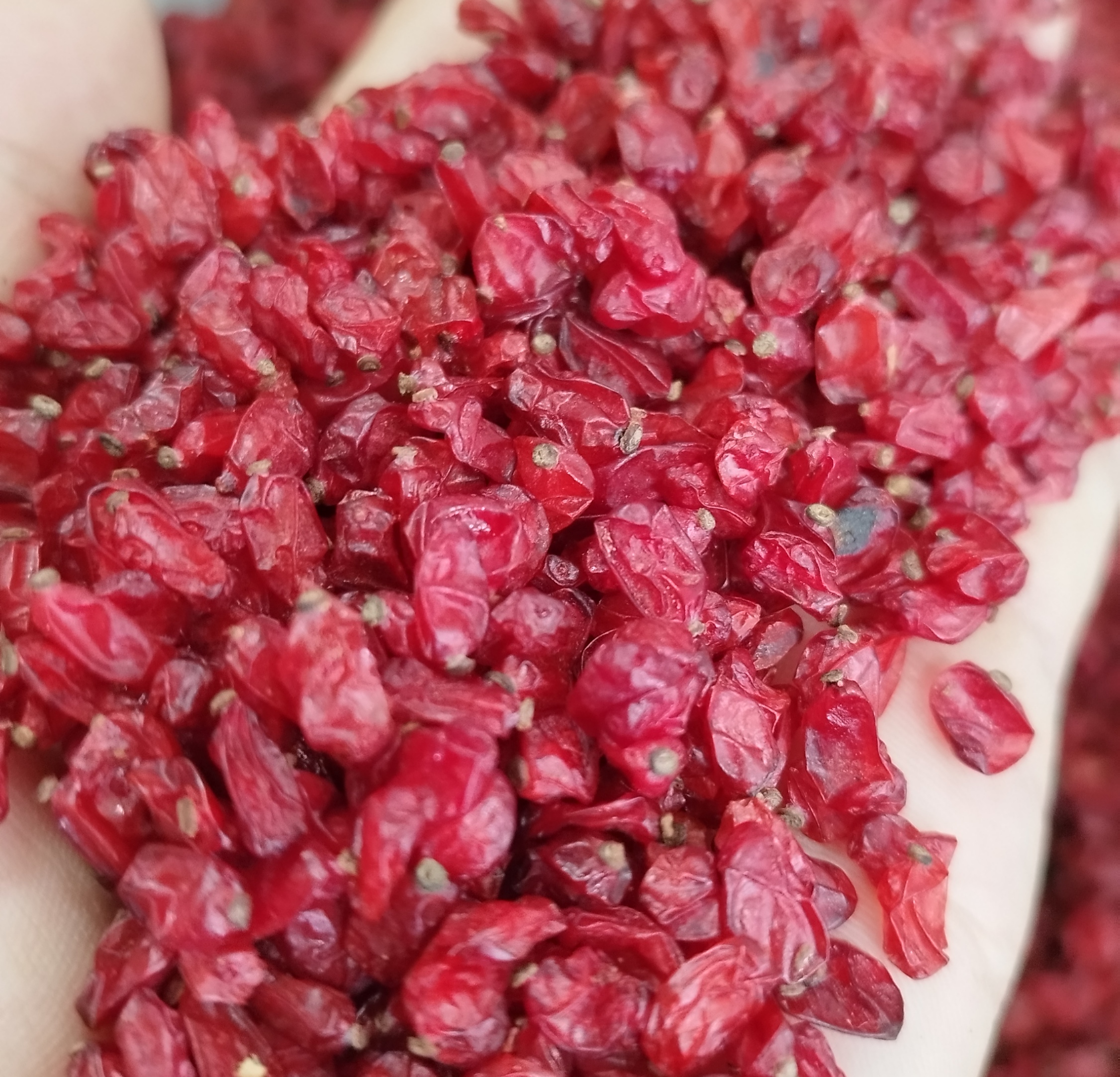 زرشک پفکی کشاورز 1 تن پیشنهاد ویژه طلای سرخ قائنات