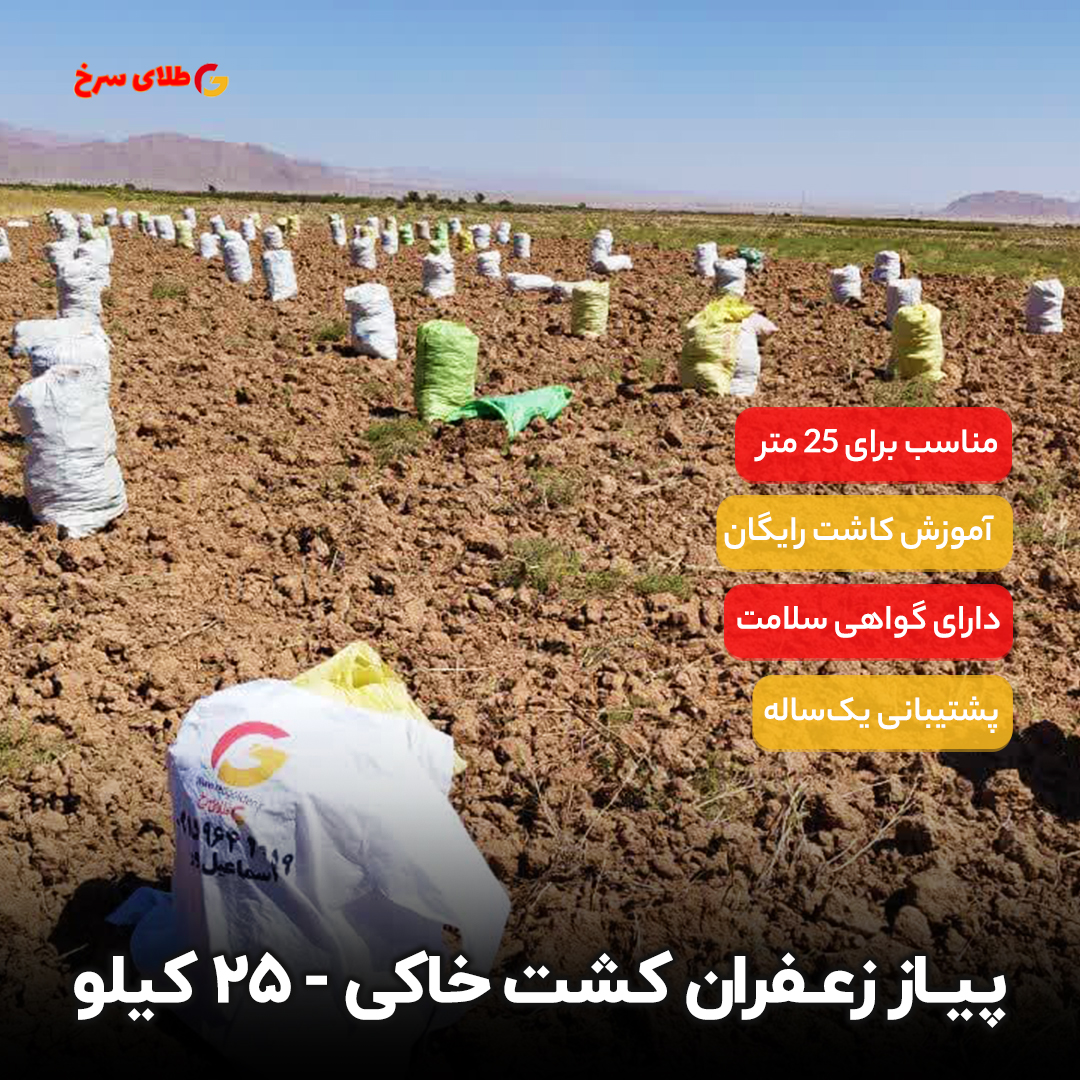 پیاز زعفران کشت سنتی قائنات 25 کیلویی