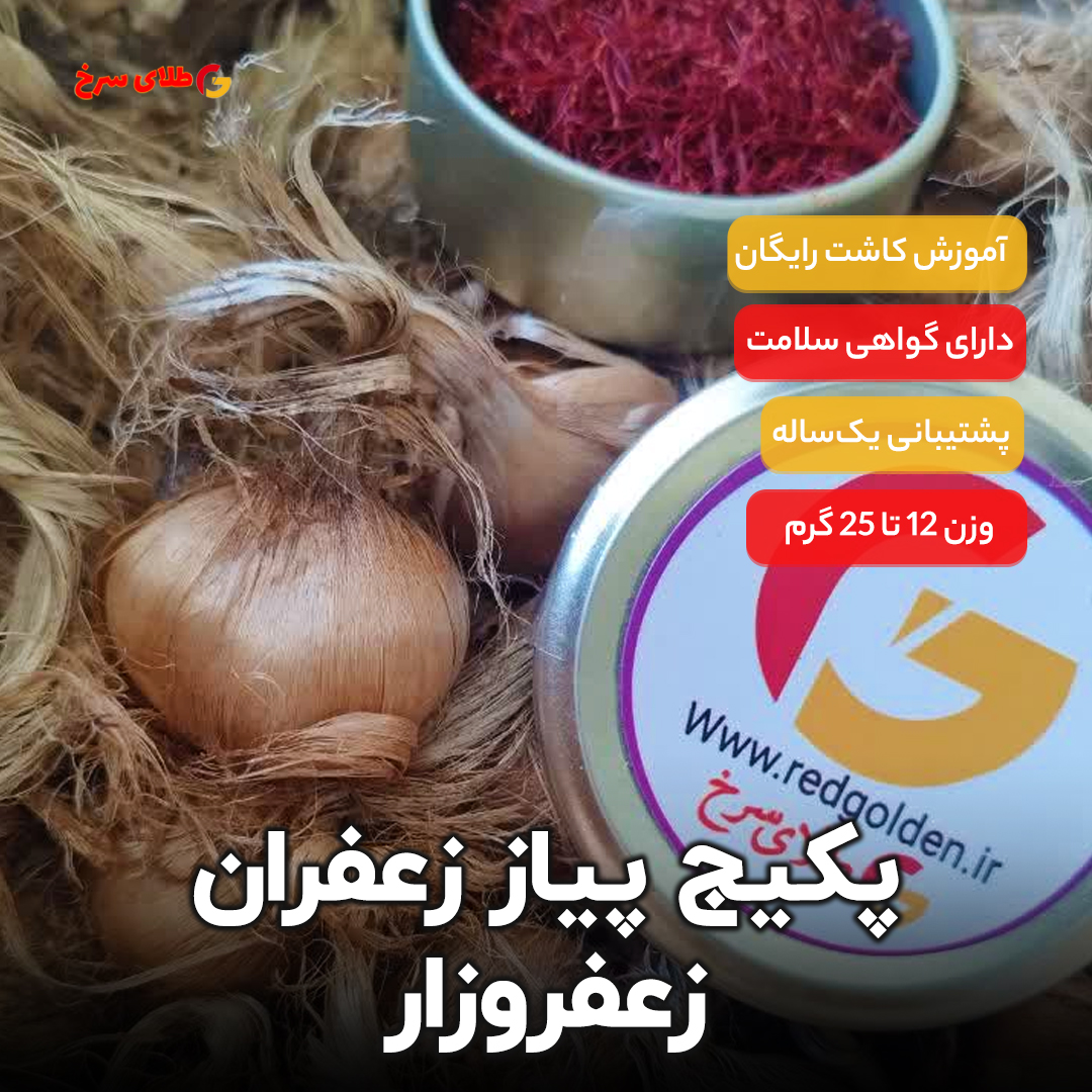 پکیج پیاز زعفران زعفروزار قائنات 1 کیلویی