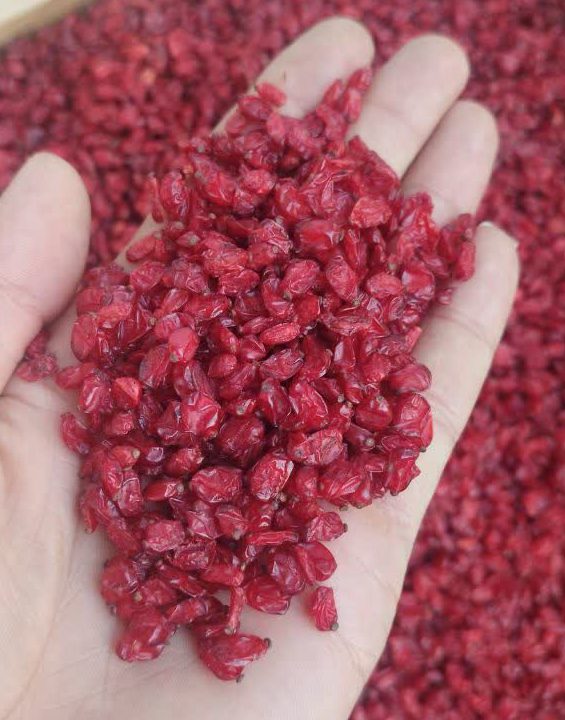 زرشک اناری قائنات900گرم