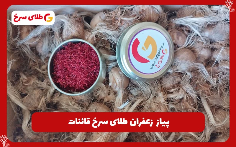 پیاز زعفران کشت خاکی 10 کیلویی